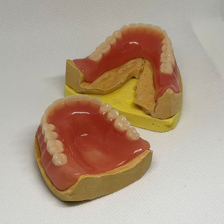 Dental Full Acrylic Denture
